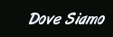 DOVE SIAMO